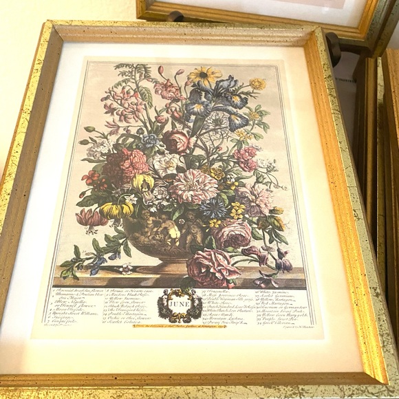 Elegant Gold Framed Botanical Art Print - Picture 5 of 10